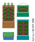 Set of boxes with garden. Growing plants in wooden boxes with soil. Breeding plants. Seedlings of vegetables, salad or flowers. Cucumbers, harvest in box. Green sprouts, agriculture at home concept. Set of wooden boxes with garden, sprouts, seedlings, container with cucumbers, harvest, agriculture. Стоковая иллюстрация, агентство Ingram Publishing / Фотобанк Лори