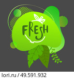 Green logo indefinite shape, ecological design. The lettering Fresh. Green juicy leaves and dots. Eco friendly design. Fruits, vegetables, food and drinks. Flat illustration isolated on grey. Fresh green logo illustration. Leaves and dots, irregular circle shape. Flat icon isolated on grey. Стоковая иллюстрация, агентство Ingram Publishing / Фотобанк Лори