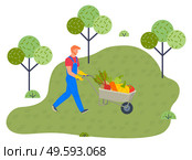 Man wearing overalls and ruber gloves pushing wheelbarrow full of fresh eco organic vegetables, autumn crop. Red beet, carrot, pumpkin, pepper, tomato. Farming works, agriculture, summer season. Man wearing overalls and ruber gloves pushing wheelbarrow full of fresh organic vegetables. Стоковая иллюстрация, агентство Ingram Publishing / Фотобанк Лори