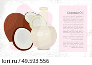 Ecologically friendly and organic coconut oil used in beauty and cosmetics for hair and skin treatment. Jar with essence for massage or body. Fresh tropical fruit poster with sample text, vector. Coconut Oil Eco Organic Ingredient for Cosmetics. Стоковая иллюстрация, агентство Ingram Publishing / Фотобанк Лори
