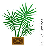 Plant, sapling with big green leaves in pot. Palm that grown indoor in potting soil. Isolated object for house and office decoration. Vector closeup illustration of potted houseplant in flat style. Plant in Pot with Big Green Leaves, Houseplant. Стоковая иллюстрация, агентство Ingram Publishing / Фотобанк Лори