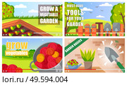 Concept of vector video player interface. Set of video tutorials about gardening vegetables, home plants care, garden tools for agriculture. Screensaver of video for vlog or education at distance. Set of video tutorials about gardening vegetables, home plants, garden tools video player interface. Стоковая иллюстрация, агентство Ingram Publishing / Фотобанк Лори