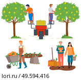 Farming and agriculture vector, man and woman at carrot plantation. Machine lifting people, workers with cart loaded with pumpkins. Flat style harvesting. Pick apples concept. Flat cartoon. Autumn Season Man and Woman at Carrot Plantation. Стоковая иллюстрация, агентство Ingram Publishing / Фотобанк Лори
