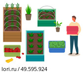 Grower man holding empty plastic box, fresh tomatoes and cucumbers in boxes, agricultural occupation, containers with growing eco vegetables and fruits, agronomy, farming, ecological organic food. Grower man holding empty plastic box, fresh tomatoes and cucumbers in boxes, agricultural occupation. Стоковая иллюстрация, агентство Ingram Publishing / Фотобанк Лори