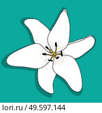 Abstract Hand Drawn Lilly flower. Vector Illustration. EPS10. Abstract Hand Drawn Lilly flower. Vector Illustration. Стоковая иллюстрация, агентство Ingram Publishing / Фотобанк Лори