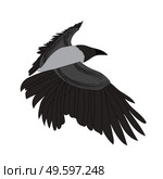 Raven image isolated on white background. Vector Illustration. EPS10. Raven image isolated on white background. Vector Illustration. Стоковая иллюстрация, агентство Ingram Publishing / Фотобанк Лори