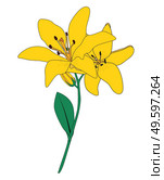 Abstract Hand Drawn Lilly flower. Vector Illustration EPS10. Abstract Hand Drawn Lilly flower. Vector Illustration. Стоковая иллюстрация, агентство Ingram Publishing / Фотобанк Лори