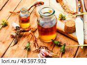 Healing herbs and herbal medicinal roots.Extract of dandelion.Taraxacum,medicinal plants.Dandelion root.. Dandelion root in herbal medicine. Стоковое фото, агентство Ingram Publishing / Фотобанк Лори