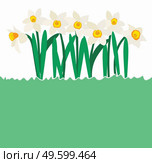 Natural background with daffodil flower and copy space. Vector Illustration. Natural background with daffodil flower and copy space. Vector Illustration EPS10. Стоковая иллюстрация, агентство Ingram Publishing / Фотобанк Лори