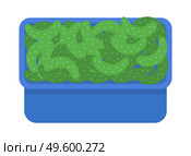 Harvest ripe cucumbers in a blue plastic box. Growing vegetables, juicy cucumber. Urban agriculture and horticulture. Harvest, veganism, healthy foods. Hydroponics system. Flat vector illustration. Blue box with ripe cucumbers, flat vector image. Grow crops. Urban agricultural and gardening. Стоковая иллюстрация, агентство Ingram Publishing / Фотобанк Лори