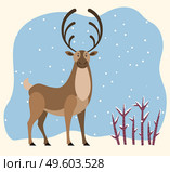 Big north deer stand on snowdrift in wood. Northern reindeer with large antlers. Cartoon polar character with brown fur coat. Snowy forest with shrubs. Vector illustration of wild animal in flat style. Reindeer Stand in Winter Forest, Hart Antlers. Стоковая иллюстрация, агентство Ingram Publishing / Фотобанк Лори