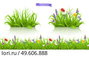 Wild flowers, forb alpine pastures. Spring grass seamless pattern 3d realistic vector. Стоковая иллюстрация, агентство Ingram Publishing / Фотобанк Лори