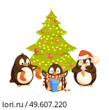 Penguins holding socks, enjoying gift and ice-cream. Arctic bird in hat and scarf near Christmas tree vector. Winter holidays with seabirds near fir-tree. Bird in Hat and Scarf near Christmas Tree Vector. Стоковая иллюстрация, агентство Ingram Publishing / Фотобанк Лори