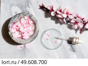 Retinol and almond oil serum beauty care, anti aging natural cosmetic, laboratory testing concept. Retinol and almond oil serum oil beauty care. Стоковое фото, агентство Ingram Publishing / Фотобанк Лори