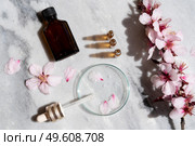 Retinol and almond oil serum beauty care, anti aging natural cosmetic, laboratory testing concept, flat lay over marble background. Retinol and almond oil serum oil beauty care. Стоковое фото, агентство Ingram Publishing / Фотобанк Лори