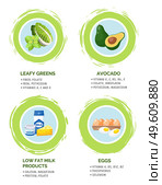 Healthy foods information poster with useful products, content of nutrients and vitamins flat vector illustration. Set of dairy products, milk yogurt and chees, eggs, avocado and leafy greens. Healthy foods information poster with useful products, content of nutrients and vitamins flat vector. Стоковая иллюстрация, агентство Ingram Publishing / Фотобанк Лори