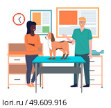 Veterinarian doctor holds dog on examination table. Pets health care in vet clinic. Domestic animals treatment concept. Veterinary professional consultation. Owner of dog communicates with doctor. Veterinarian doctor holds dog on examination table in vet clinic. Pets health care concept. Стоковая иллюстрация, агентство Ingram Publishing / Фотобанк Лори