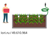 Urban farming, gardening or agriculture. Automatic irrigation sprinklers vector illustration. A man grows garden plants with modern electronic devices and scientific methods. Planting vegetables. Urban farming, gardening or agriculture. Automatic irrigation sprinklers. Vector illustration. Стоковая иллюстрация, агентство Ingram Publishing / Фотобанк Лори