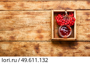 Glass jar with jam and fresh viburnum berries. Berry jam in a jar. Стоковое фото, агентство Ingram Publishing / Фотобанк Лори