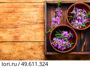 Ivan tea in a bowl.Blooming willow herb in herbal medicine.Medicative blooming sally.Copy space. Willow-herb or blooming sally,space for text. Стоковое фото, агентство Ingram Publishing / Фотобанк Лори