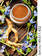 Chicory root and chicory flowers,weed. Wild plant in herbal medicine.Coffee substitute. Chicory root,coffee substitute. Стоковое фото, агентство Ingram Publishing / Фотобанк Лори