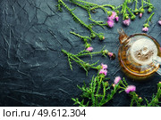 Teapot with medicinal wild herbal tea.Milk thistle or Silybum marianum in in herbal medicine.Copy space. Thistle in herbal medicine. Стоковое фото, агентство Ingram Publishing / Фотобанк Лори