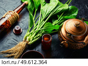 Healing plantain tea. Teapot in herbal plantain tea. Natural herbal medicine. Plantain in herbal medicine. Стоковое фото, агентство Ingram Publishing / Фотобанк Лори