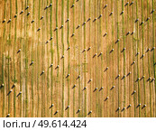 Autumn landscape, straw bales on agricultural field. Haystacks fall season top aerial view. Morning rural Stubble scene, Belarus, Europe. Стоковое фото, агентство Ingram Publishing / Фотобанк Лори