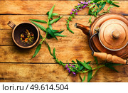 Cup of herbal tea on the table. Ivan tea or fireweed.Herbal medicine.Rosebay willow herb. Natural fireweed tea,ivan tea. Стоковое фото, агентство Ingram Publishing / Фотобанк Лори