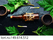 Datura medicinal tincture in a glass bottle. Herbal medicine. Datura medicinal tincture. Стоковое фото, агентство Ingram Publishing / Фотобанк Лори