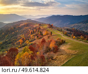 Beautiful mountain autumn landscape with meadow and colorful forest. Red, Yellow, Orange trees on hillsides. National Natural Park Synevyr, Carpathians, Ukraine, Europe. Стоковое фото, агентство Ingram Publishing / Фотобанк Лори