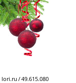 Red christmas ballsand evergreen fir tree isolated on white background. Red christmas balls. Стоковое фото, агентство Ingram Publishing / Фотобанк Лори