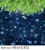 christmas background with fir traa and stary night sky. Стоковое фото, агентство Ingram Publishing / Фотобанк Лори