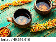 Healing tea with sea buckthorn on wooden surface. Delicious fresh tea from autumn berries.. Tea with sea buckthorn berries. Стоковое фото, агентство Ingram Publishing / Фотобанк Лори