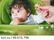Baby eating food in her green highchair. Стоковое фото, агентство Ingram Publishing / Фотобанк Лори