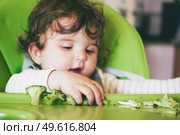 Baby eating food in her green highchair. Стоковое фото, агентство Ingram Publishing / Фотобанк Лори