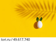 Easter scene with white eggs with rabbits ears over illuminating yellow background, palm shadows overlay. Easter scene with white eggs. Стоковое фото, агентство Ingram Publishing / Фотобанк Лори
