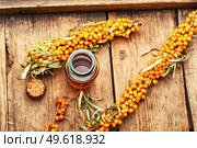 Healing extract from sea buckthorn. Sea buckthorn oil in a bottle on rustic wooden surface. Sea buckthorn berries in herbal medicine. Стоковое фото, агентство Ingram Publishing / Фотобанк Лори