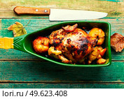 Chicken meat grilled with apples in a baking dish.. Whole chicken fried with quince. Стоковое фото, агентство Ingram Publishing / Фотобанк Лори