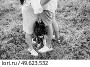 Big dog for a walk with a guy and a girl on the green prairie. Стоковое фото, агентство Ingram Publishing / Фотобанк Лори