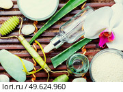 Cosmetic cream, face roller and guache scraper. Skin care facial, massage. Cosmetic face cream. Стоковое фото, агентство Ingram Publishing / Фотобанк Лори