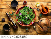Milk thistle or Silybum marianum in in herbal medicine. Thistle in herbal medicine. Стоковое фото, агентство Ingram Publishing / Фотобанк Лори