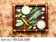 Cosmetic cream, face roller and guache scraper. Cosmetic face cream. Стоковое фото, агентство Ingram Publishing / Фотобанк Лори