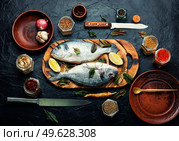 Fresh fish, dorado and spices. Raw dorado, or sea carp.. Dorado is a healthy and tasty fish. Стоковое фото, агентство Ingram Publishing / Фотобанк Лори