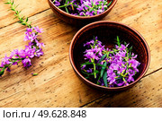 Ivan tea in a bowl.Blooming willow herb in herbal medicine.Medicative blooming sally. Willow-herb or blooming sally. Стоковое фото, агентство Ingram Publishing / Фотобанк Лори