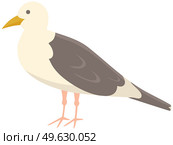Seagull standing on its feet. Sea bird isolated on white background. Seagull with folded wings and closed yellow beak. Bird living by ocean. Wildlife representative flat vector illustration. Seagull with folded wings and closed beak. Sea bird standing on its feet vector illustration. Стоковая иллюстрация, агентство Ingram Publishing / Фотобанк Лори