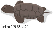 Sea turtle isolated on white background. Reptile living in salt water. Animal with hard chitinous shell. Turtle pokes its head out of its shell and looks. Marine reptile vector illustration. Sea turtle isolated on white background. Reptile living in salt water vector illustration. Стоковая иллюстрация, агентство Ingram Publishing / Фотобанк Лори