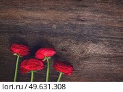 posy of red ranunculus flowers on wooden nackground, retro toned. red ranunculus flowers. Стоковое фото, агентство Ingram Publishing / Фотобанк Лори