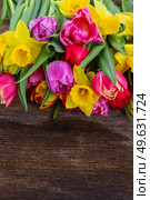 fresh pink, purple and red  tulips and daffodils  on wooden background with copy space. bouquet of   tulips and daffodils. Стоковое фото, агентство Ingram Publishing / Фотобанк Лори