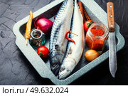 Raw mackerel fish and spices on the kitchen table. Uncooked scomber fish. Fresh, raw mackerel fish. Стоковое фото, агентство Ingram Publishing / Фотобанк Лори